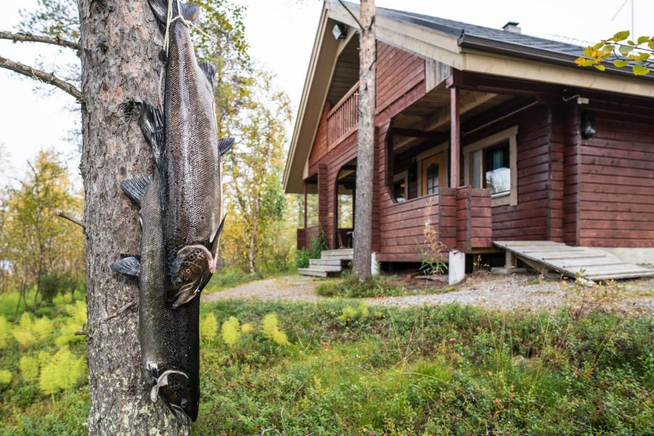 Luongasloma Chalets Palojoensuu Εξωτερικό φωτογραφία